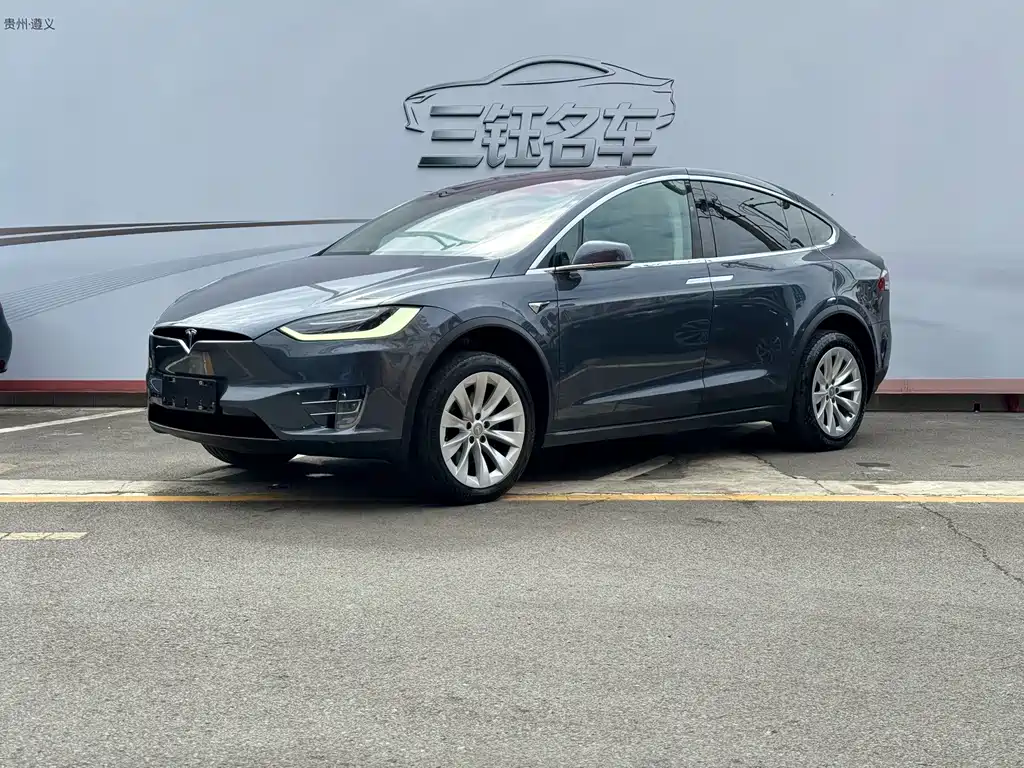Tesla Model X 2019 — фото 3