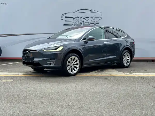 Tesla Model X 2019