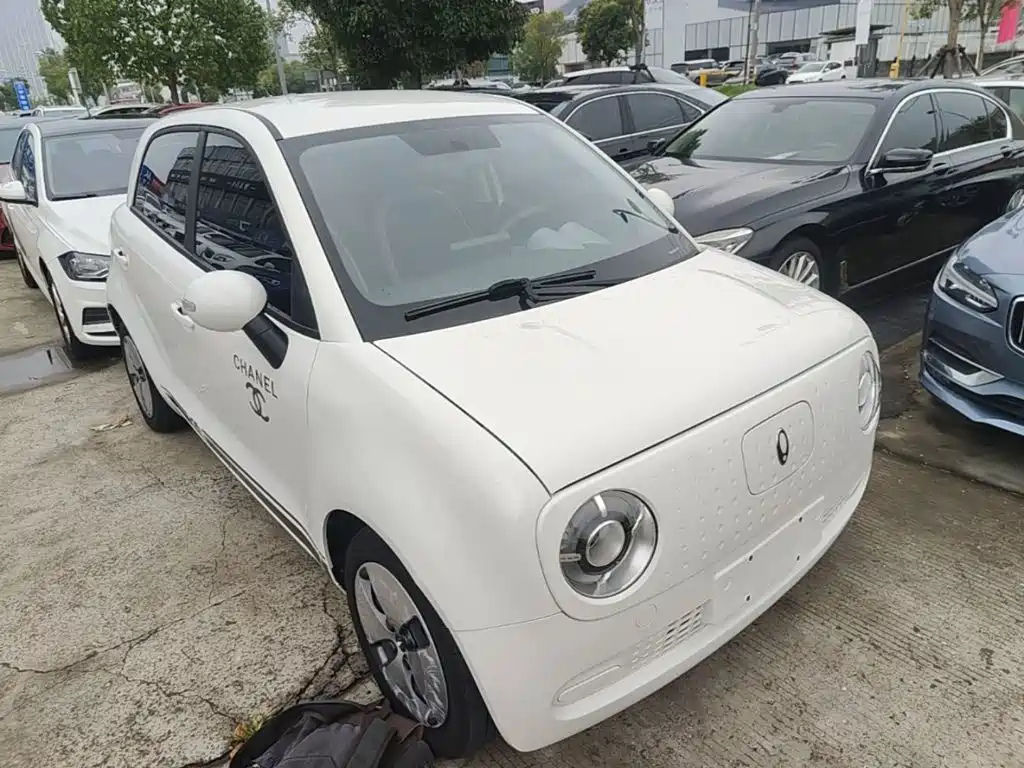 Ora Black Cat 2022