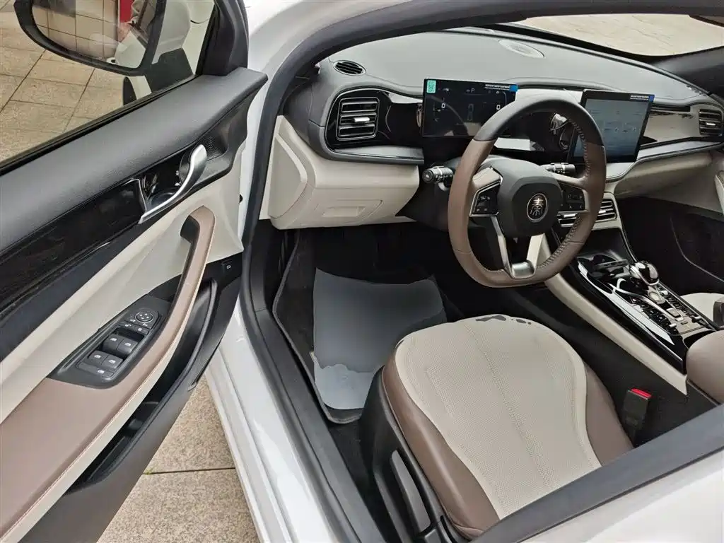 BYD Qin PLUS 2024 — фото 12
