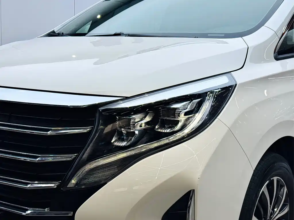 GAC Motor Trumpchi M8 2021 — фото 19