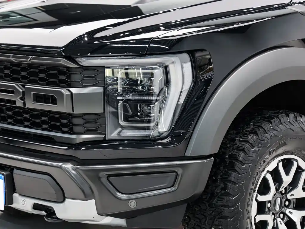 Ford F-150 Raptor 2024 — фото 8
