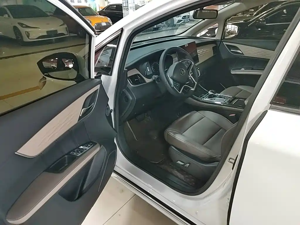 BYD Song MAX New Energy 2023 — фото 16