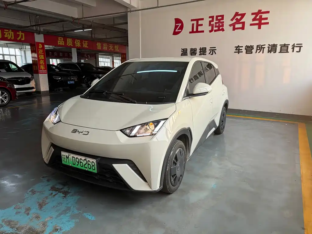 BYD Seagull 2025