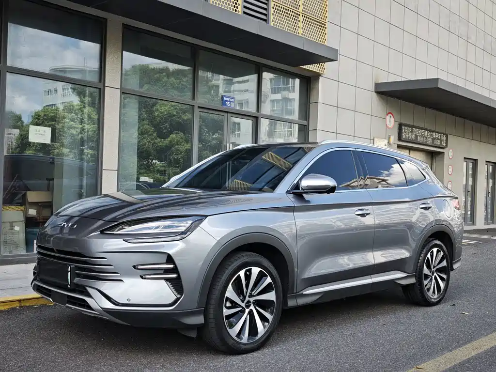 BYD Song PLUS New Energy 2024 — фото 1