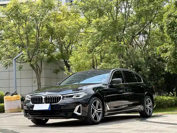 BMW 5 Series 2021