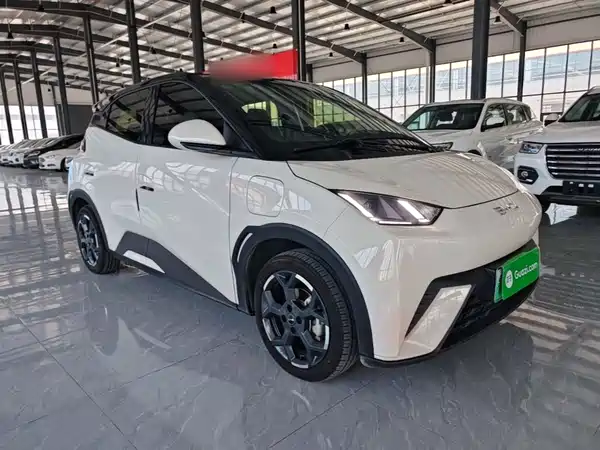 BYD Seagull 2024