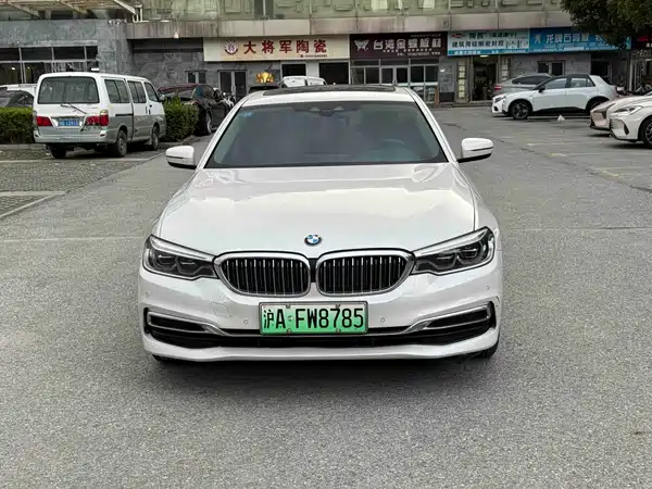 BMW 5 Series New Energy 2019