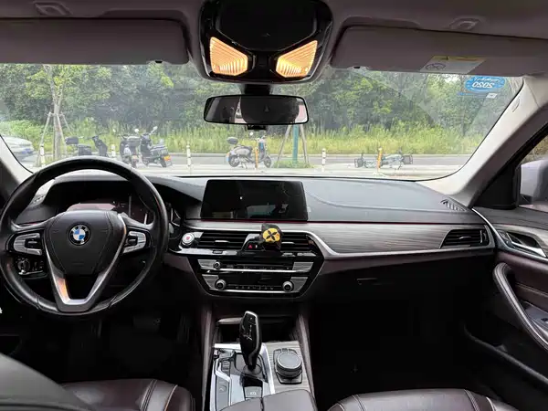 BMW 5 Series New Energy 2019