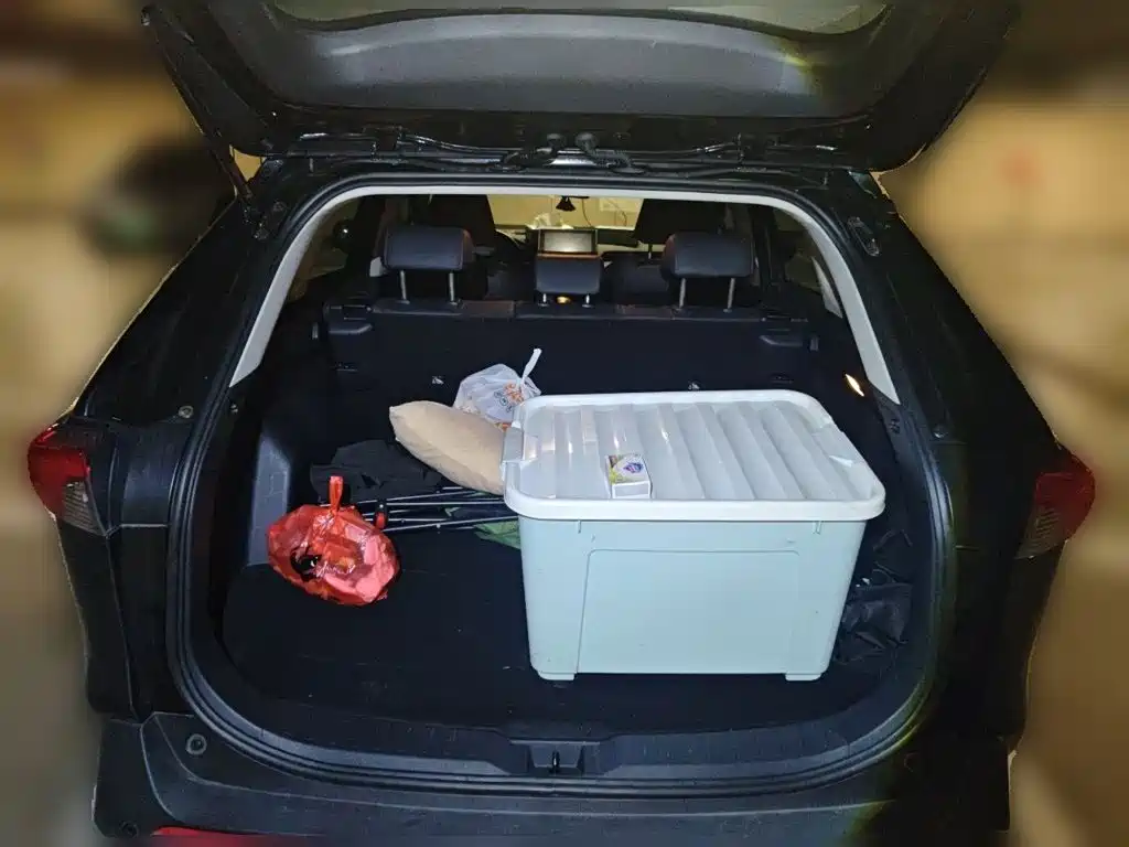 Toyota RAV4 Rongfang Dual Engine E+ 2021 — фото 15