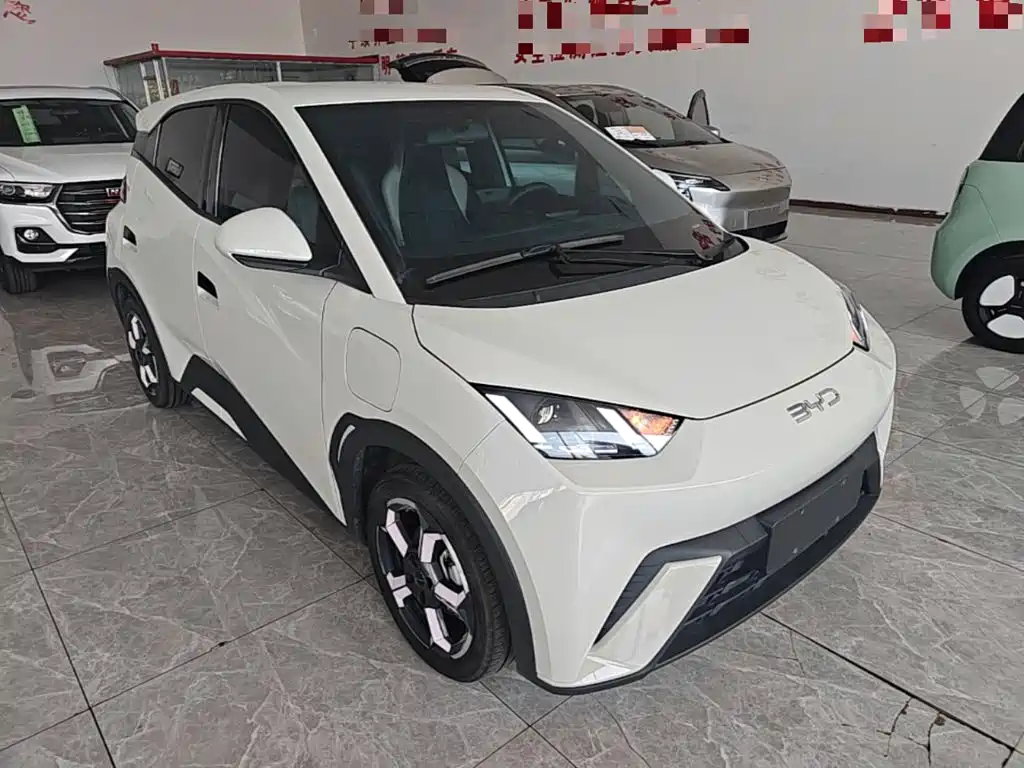 BYD Seagull 2024