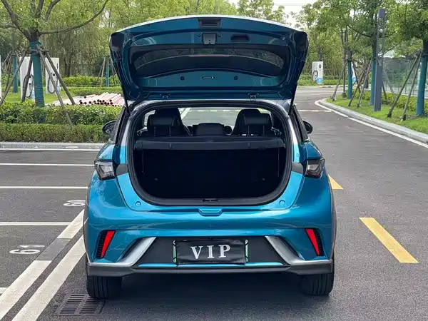 BYD Dolphin 2022