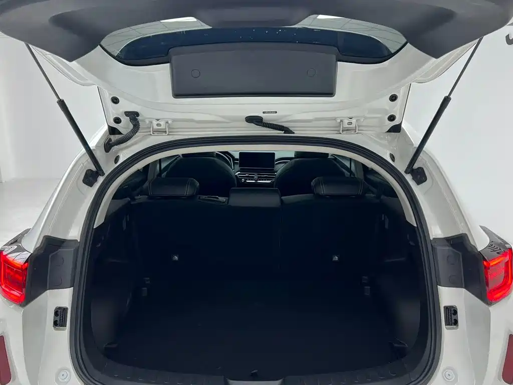 Haval Chitu 2022 — фото 19