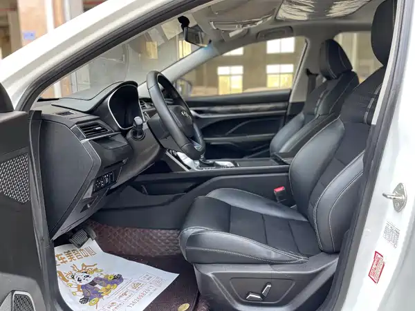 Geely Binrui 2021