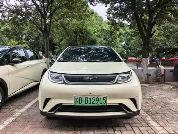 BYD Dolphin 2024