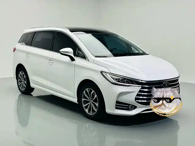 BYD Song MAX 2020 — фото 3