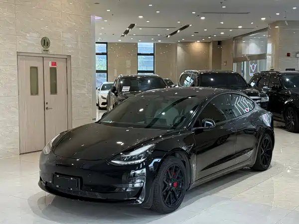 Tesla Model 3 2019