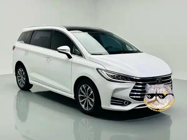 BYD Song MAX 2020