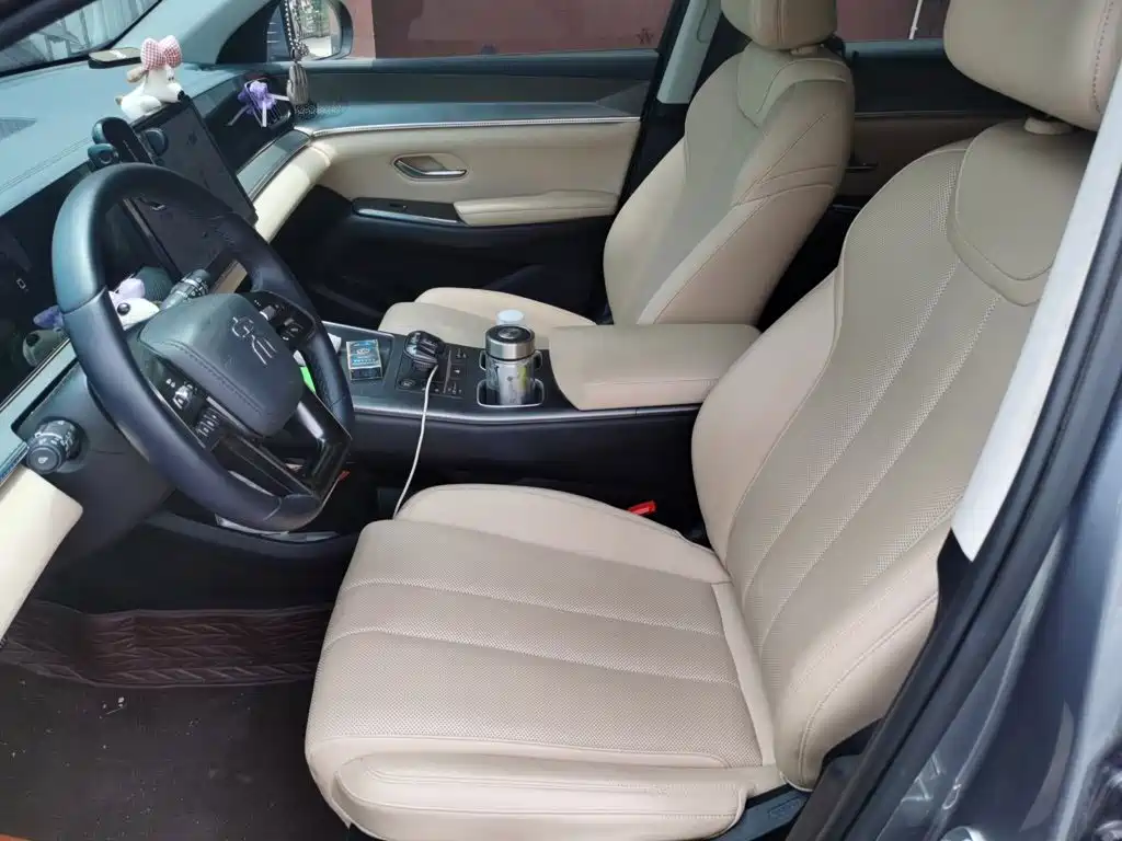 BYD Song Pro New Energy 2025 — фото 8