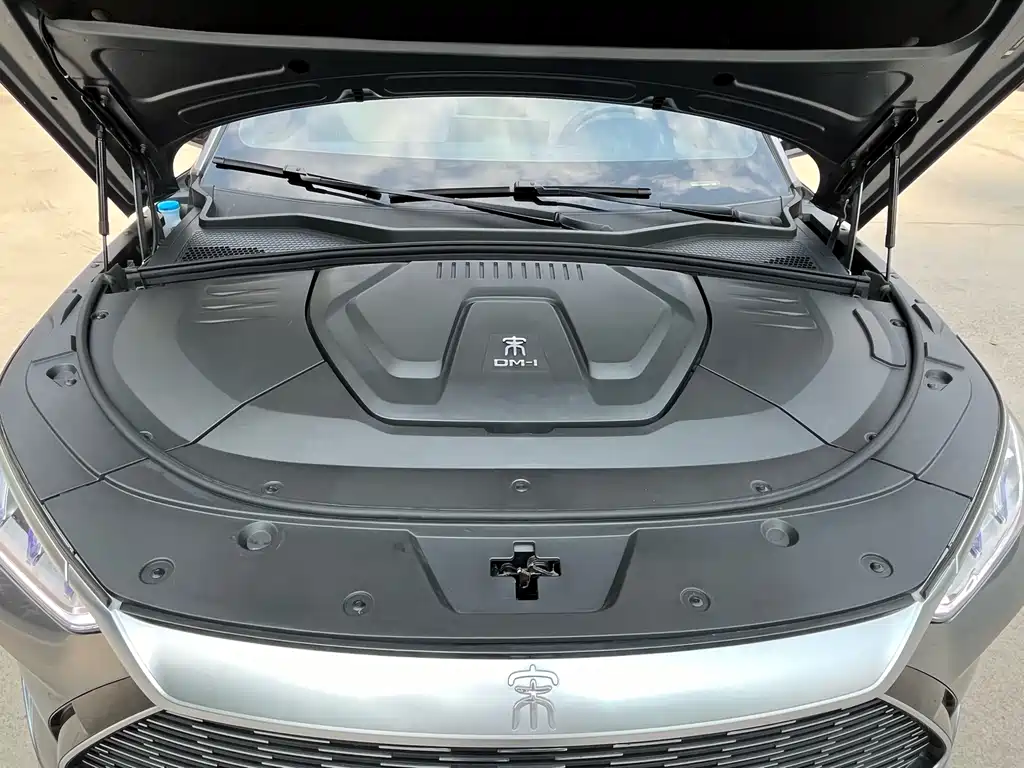 BYD PLUS New Energy 2022 — фото 18