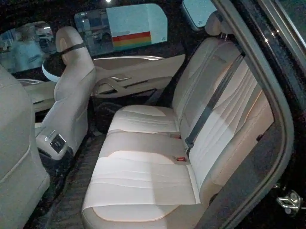 BYD Song Pro New Energy 2024 — фото 13
