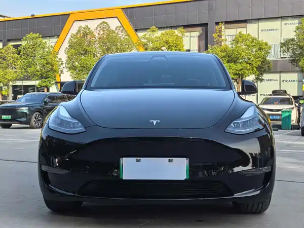 Tesla Model Y 2024