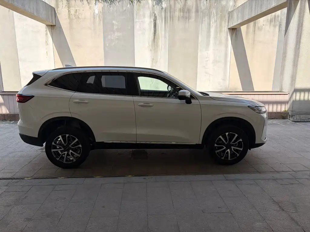 Haval H6 2020 — фото 8