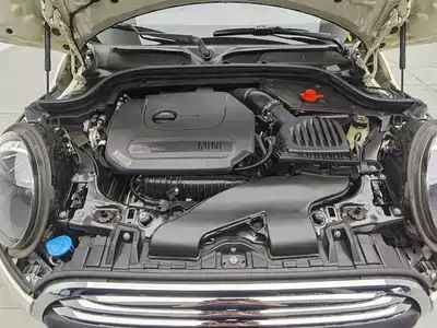MINI MINI 2020