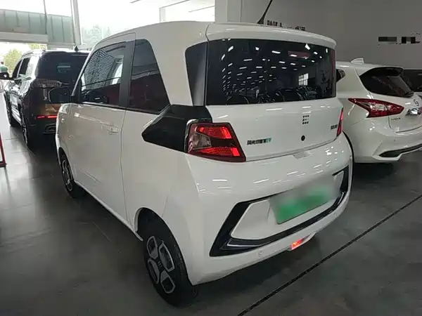 Dongfeng Scenery MINIEV 2024