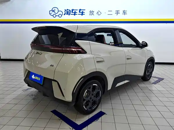 BYD Seagull 2024