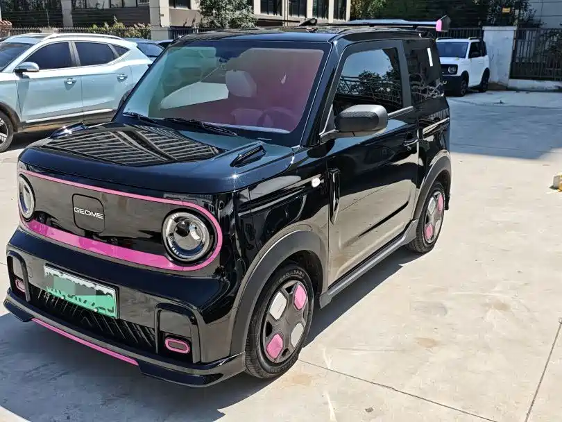 Geely Galaxy Panda 2025
