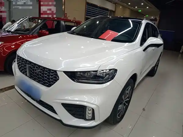 Wey VV5 2020