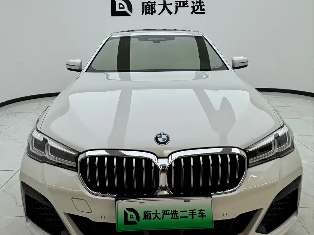 BMW 5 Series New Energy 2020 — фото 2
