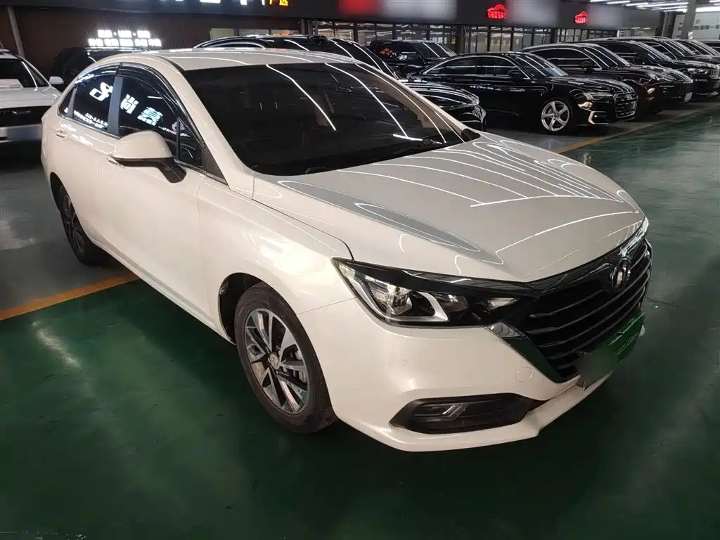 BAIC Senova D50 2020 — фото 22