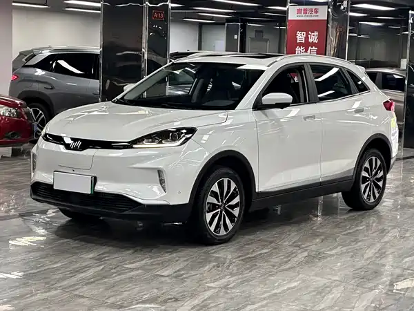 WM Motor EX5 2019