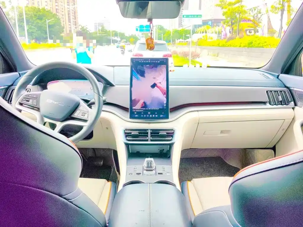 BYD Song PLUS New Energy 2024 — фото 13