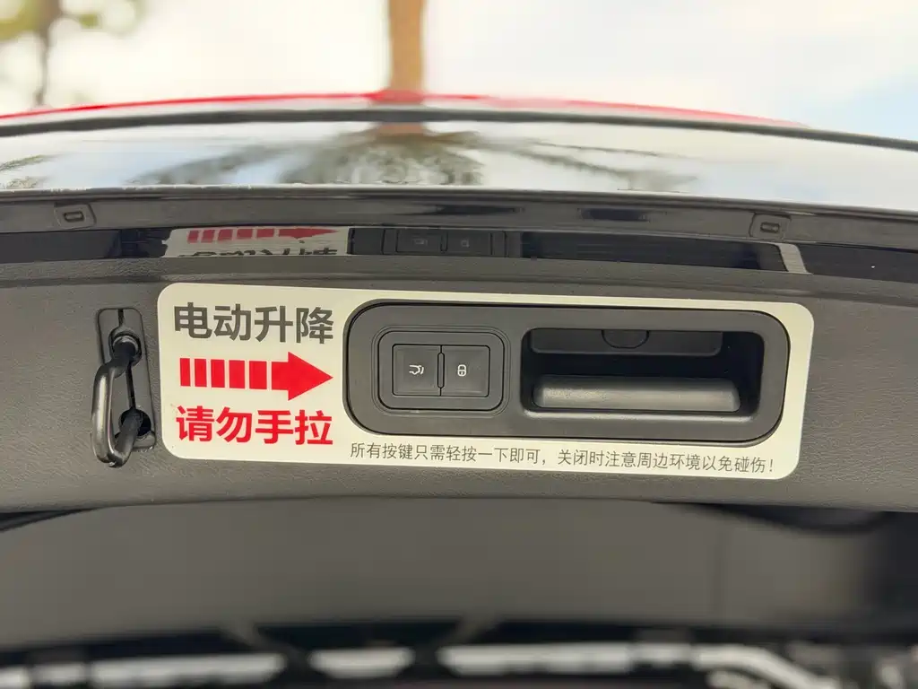 BYD Tang 2018 — фото 19