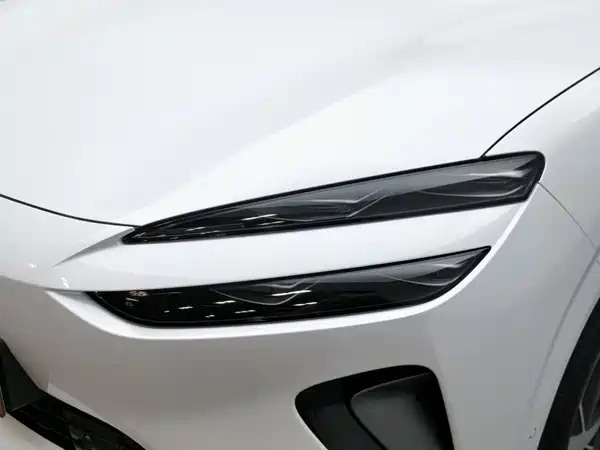BYD Sealion 06 2026