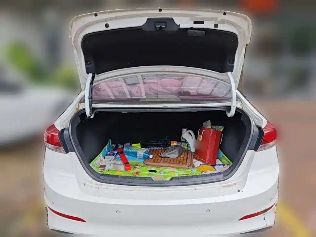Hyundai Celesta 2018 — фото 10
