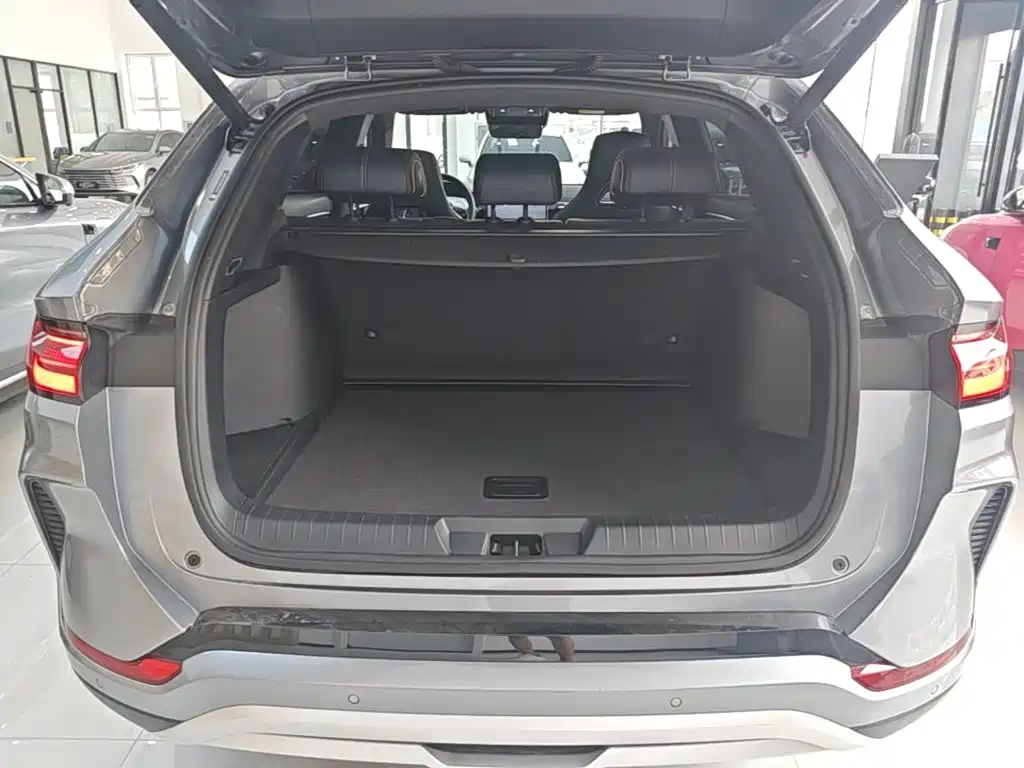 BYD Song PLUS New Energy 2024 — фото 19