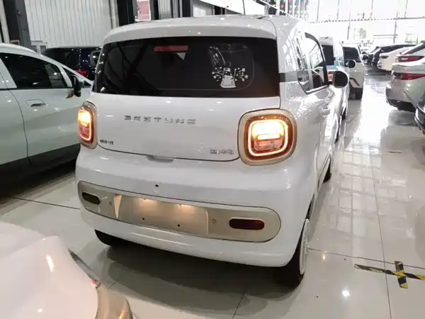 Bestune Pony 2024