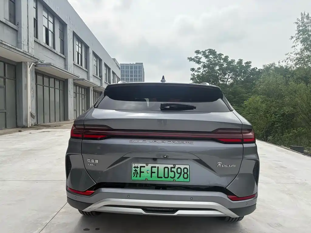 BYD PLUS New Energy 2024 — фото 8
