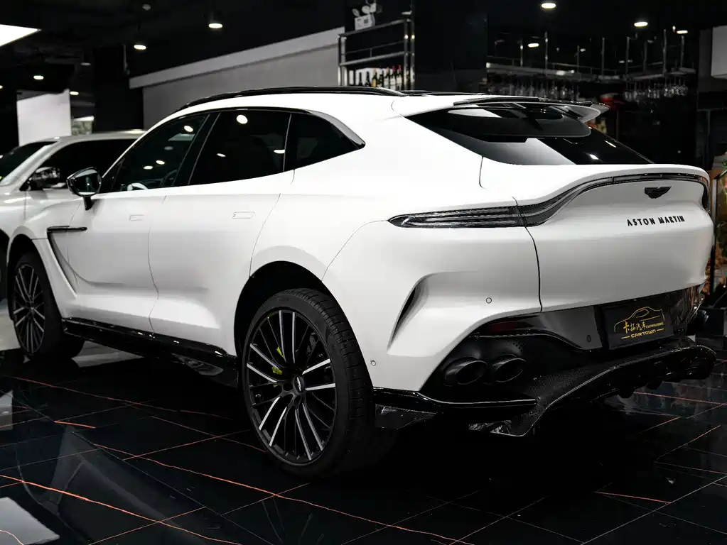 Aston Martin DBX 2023 — фото 38