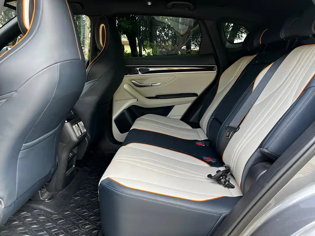 BYD Song PLUS New Energy 2023 — фото 11