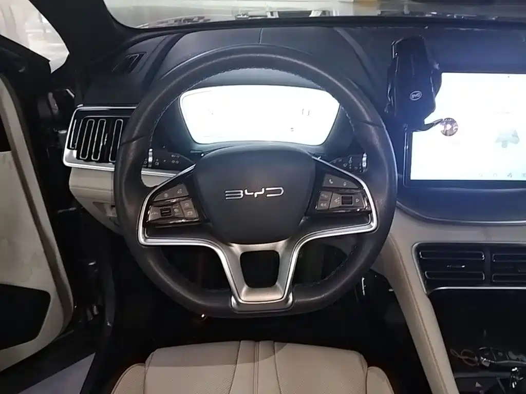 BYD Song PLUS New Energy 2024 — фото 11