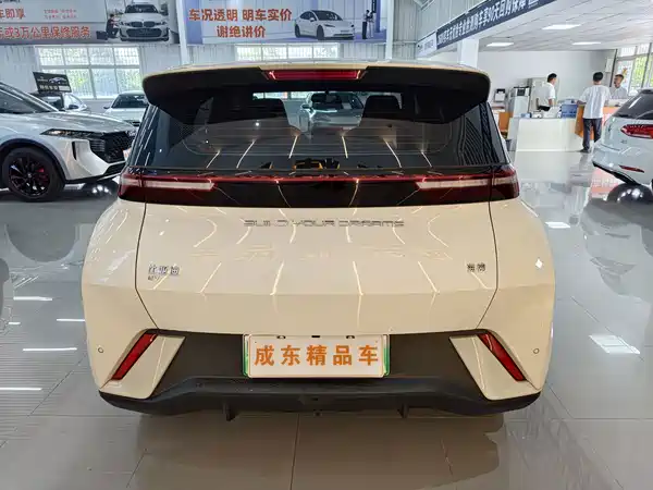 BYD Seagull 2024