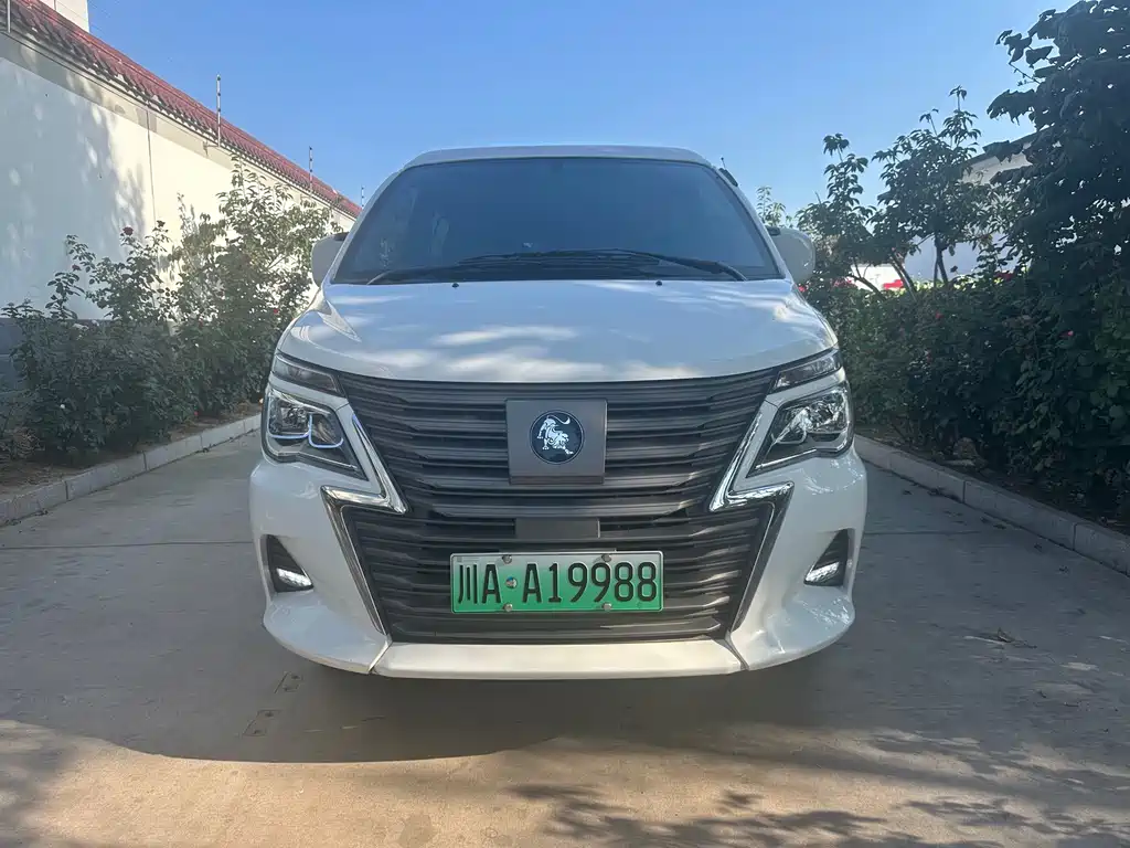 Dongfeng Lingzhi New Energy 2023