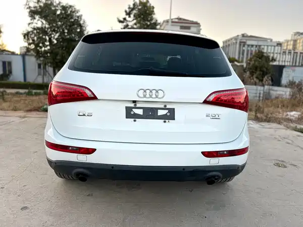 Audi Q5 2010