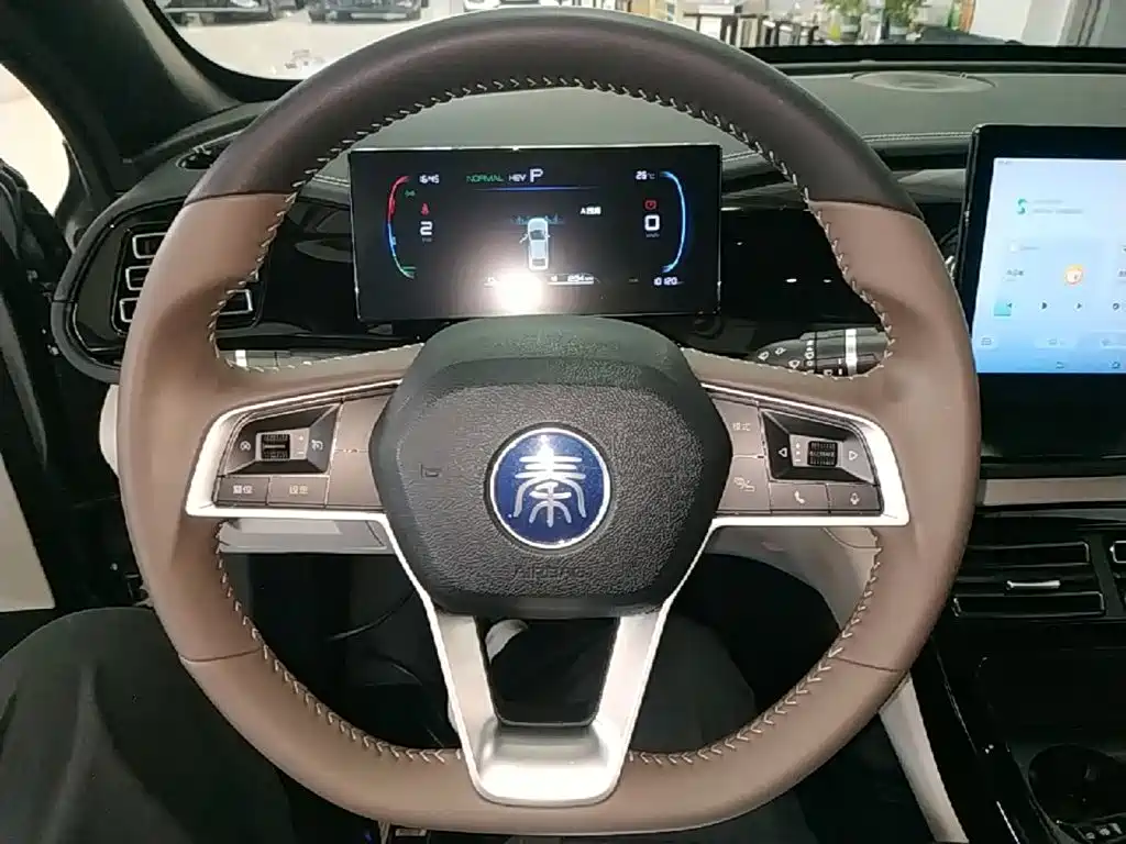 BYD Qin PLUS 2023 — фото 11