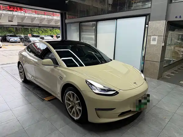 Tesla Model 3 2019